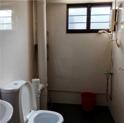 Blk 699 Hougang Street 52 (Hougang), HDB 5 Rooms #500165401